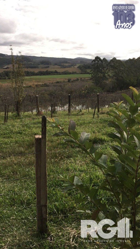 Sítio, 2 quartos, 22 hectares - Foto 7