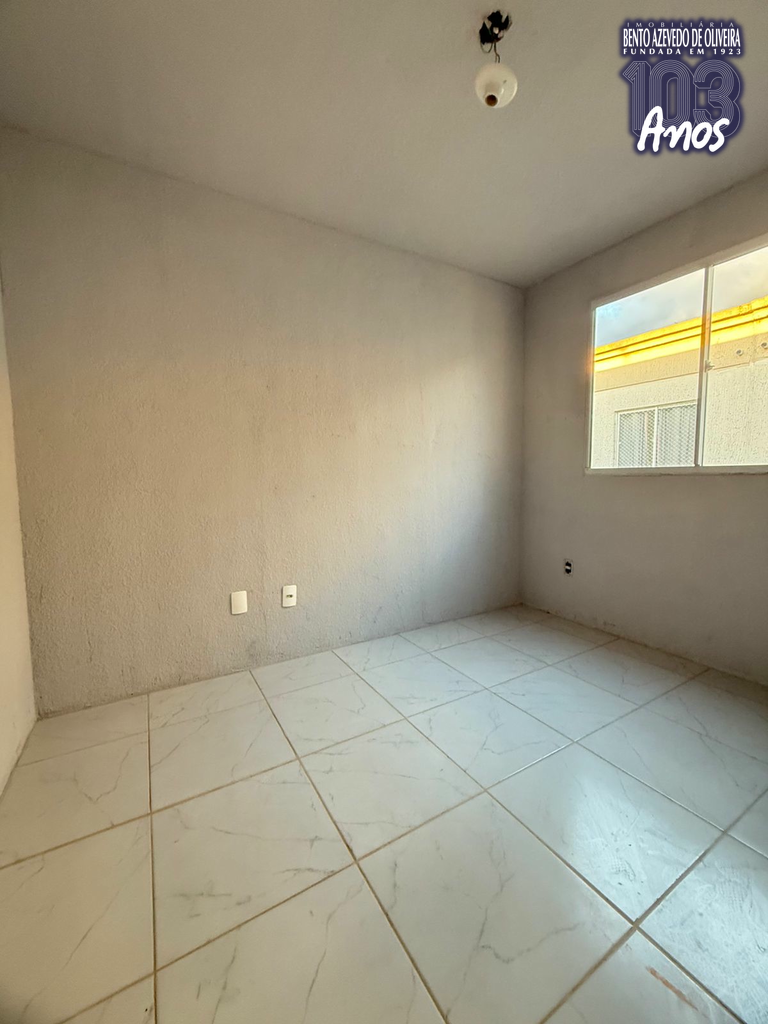 2365506.jpeg