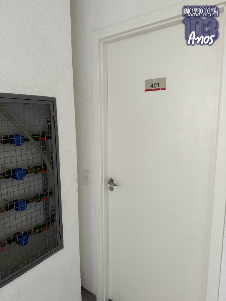 2444963.jpeg