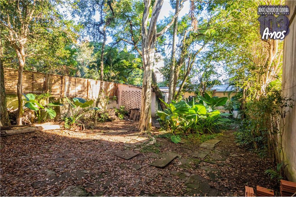 2500998.jpeg