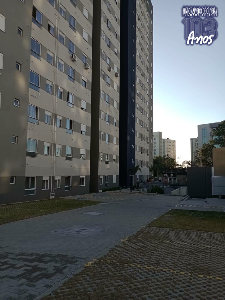 2562686.jpeg