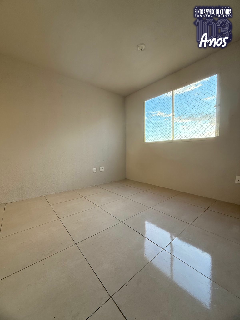 2365499.jpeg