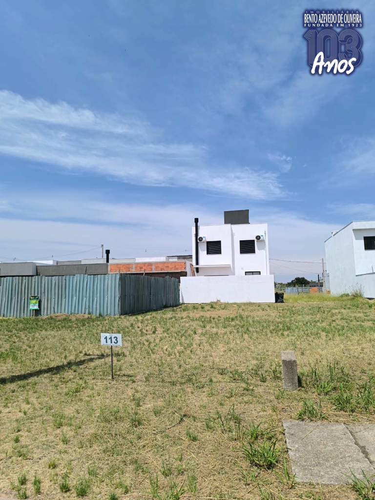 2538638.jpeg