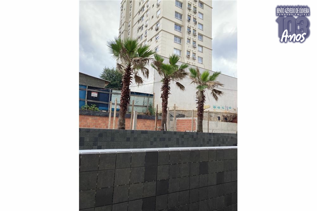 2548610.jpeg