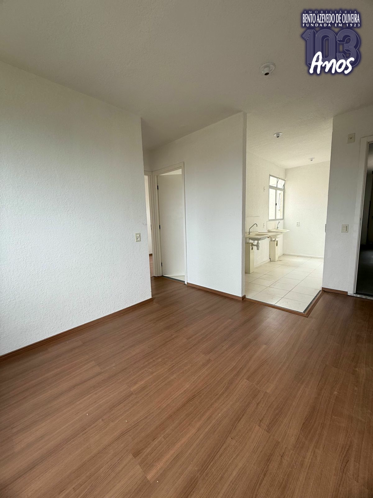2444968.jpeg