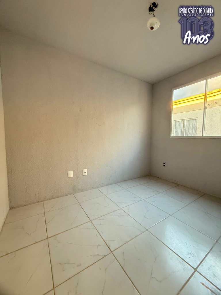 2365505.jpeg
