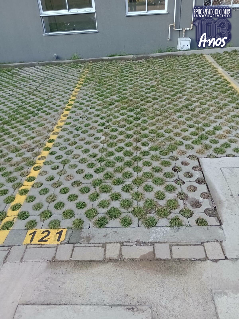 2562689.jpeg