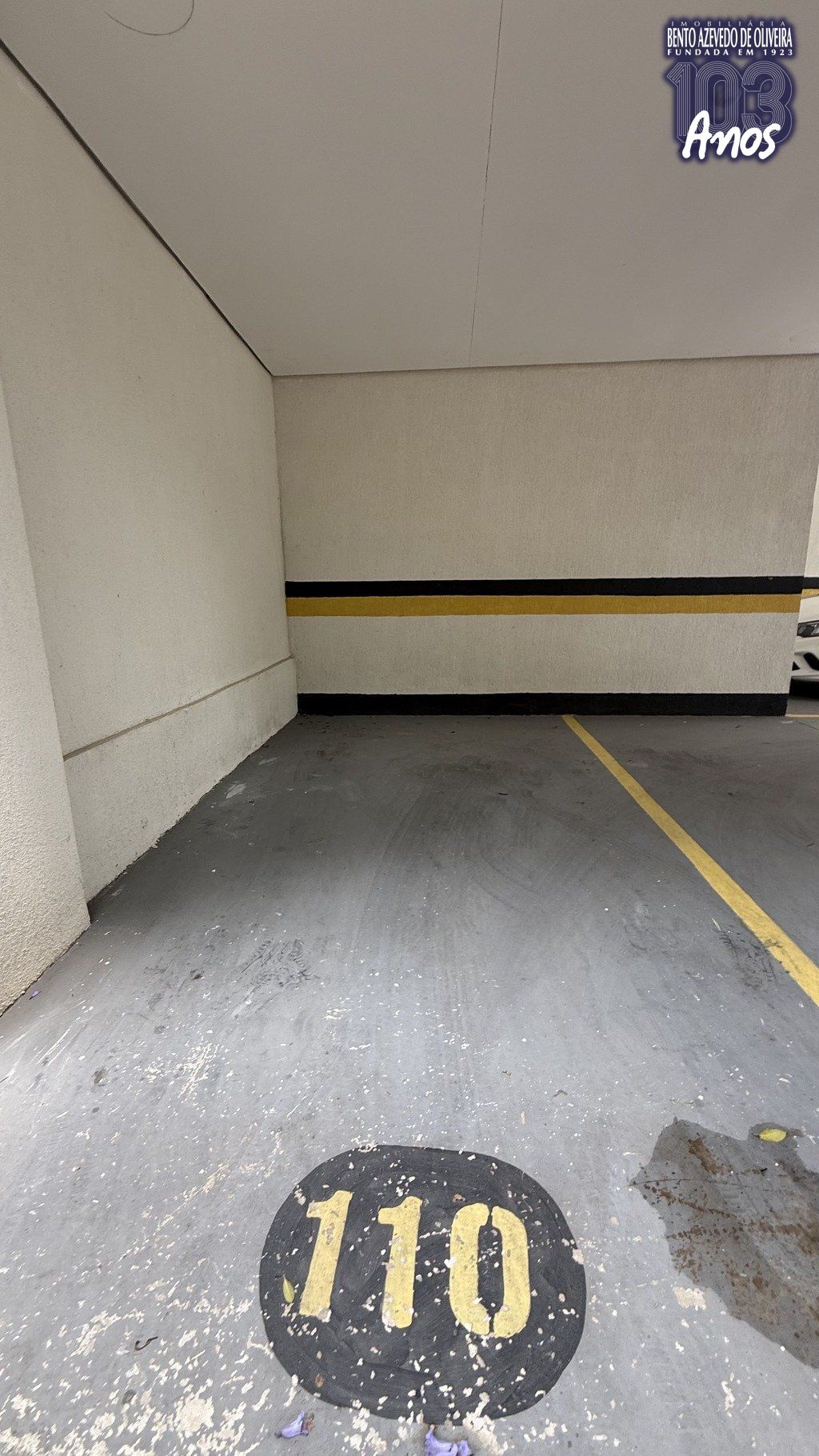 2038692.jpg