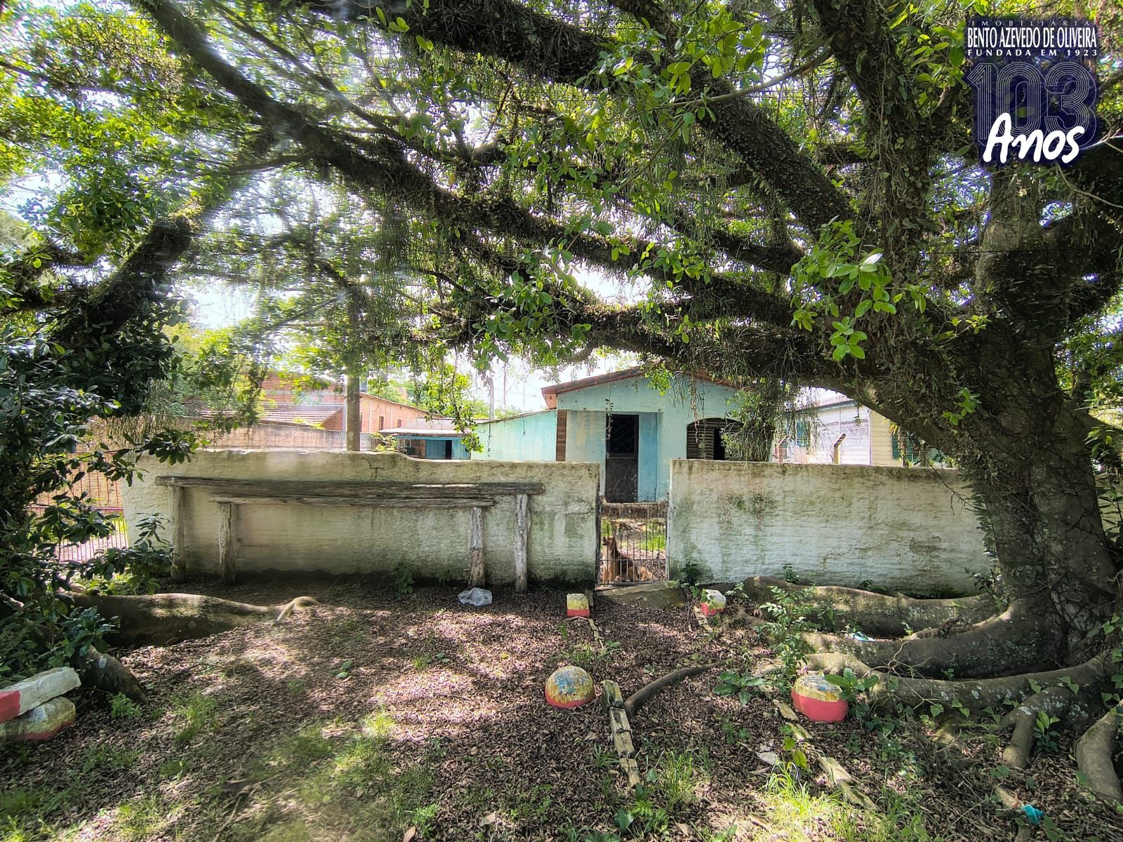 Terreno, 1500 m² - Foto 1