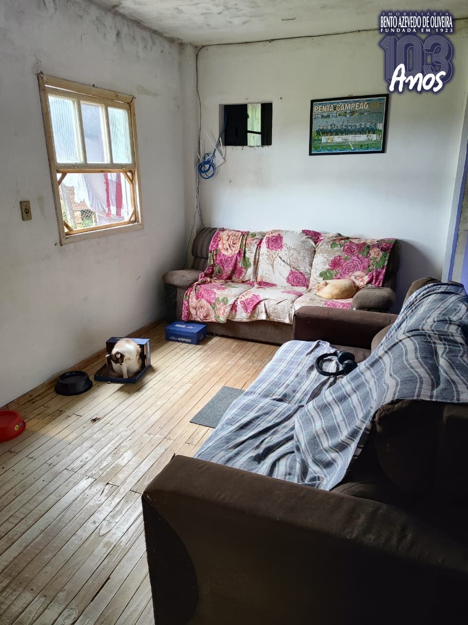 Casa, 3 quartos, 100 m² - Foto 5