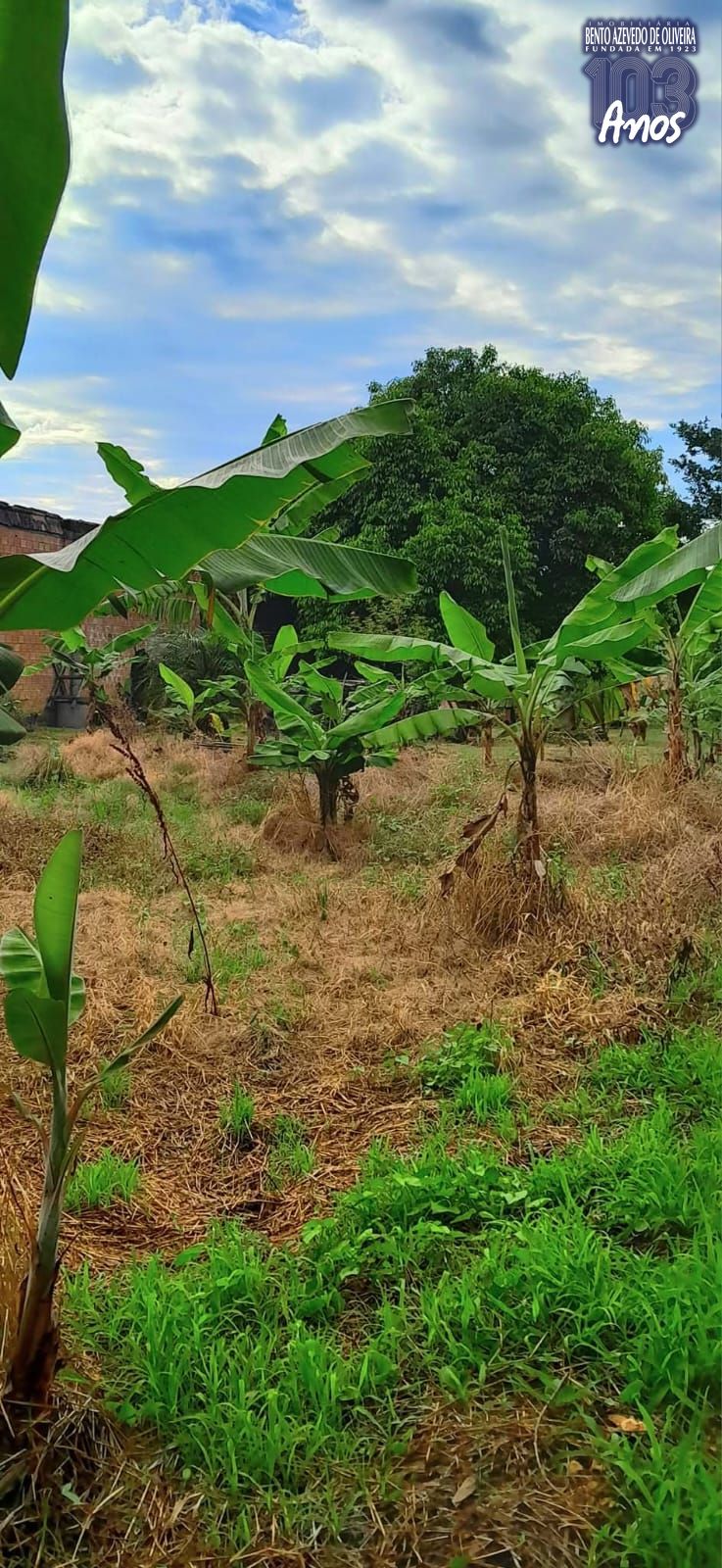 Terreno, 1500 m² - Foto 9