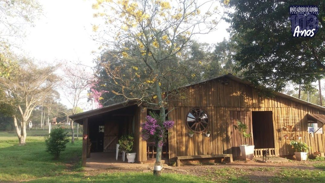Chácara, 1 quarto, 3 hectares - Foto 11