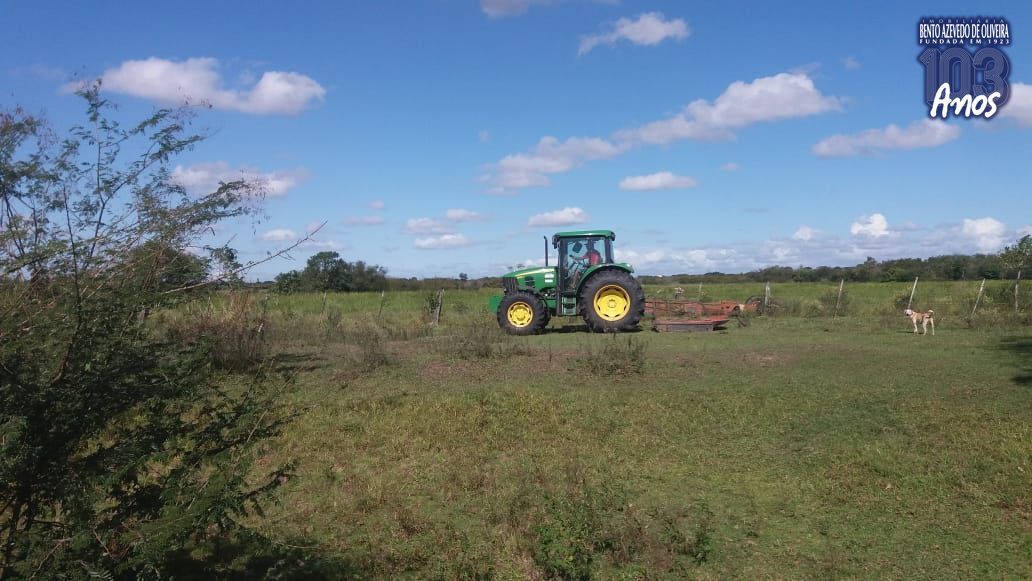 Chácara, 1 quarto, 3 hectares - Foto 14