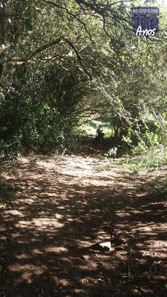 Chácara, 1 quarto, 3 hectares - Foto 19
