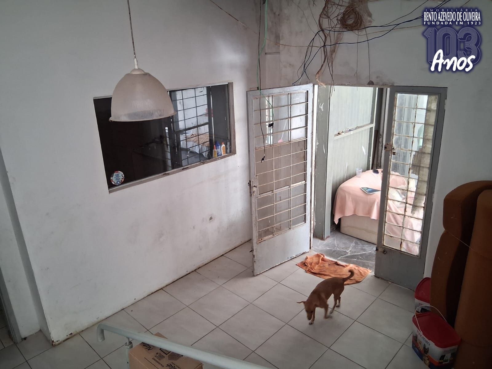 Depósito-Galpão, 289 m² - Foto 7