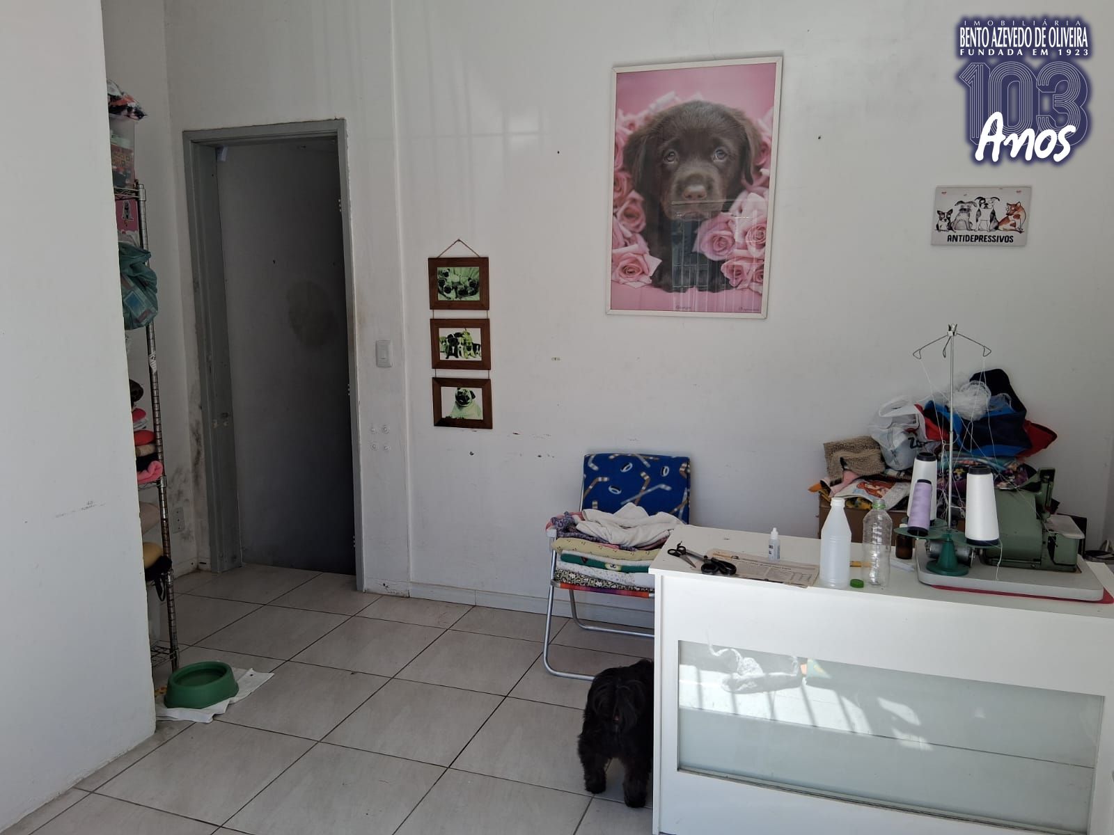 Depósito-Galpão, 289 m² - Foto 4