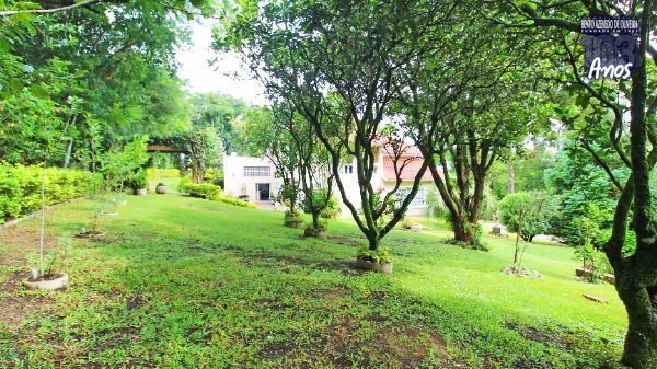 .jpg+2025-03-04