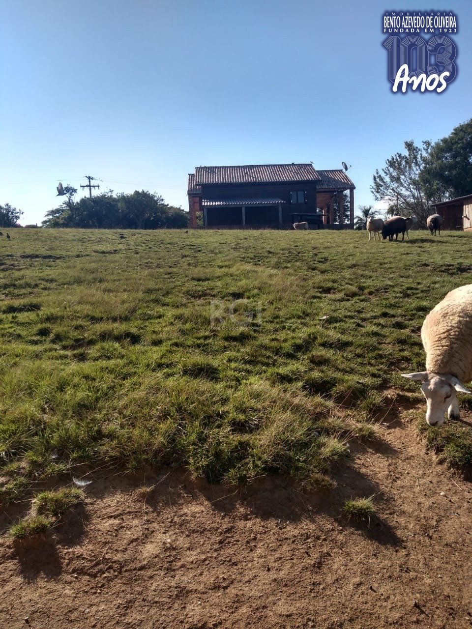 Sítio, 2 quartos, 3360 m² - Foto 12