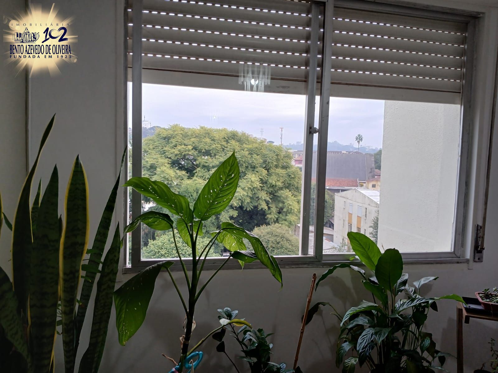 Apartamento, 2 quartos, 58 m² - Foto 2