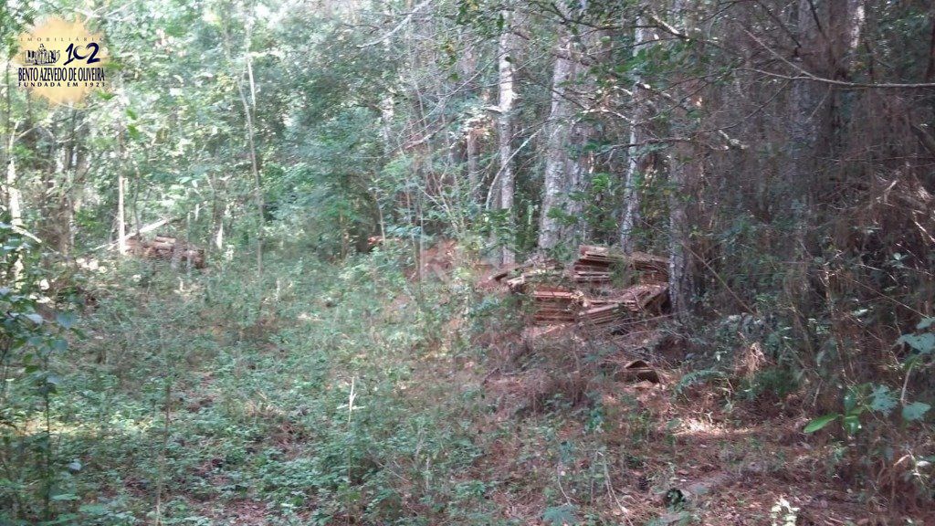 Terreno, 1 hectares - Foto 6