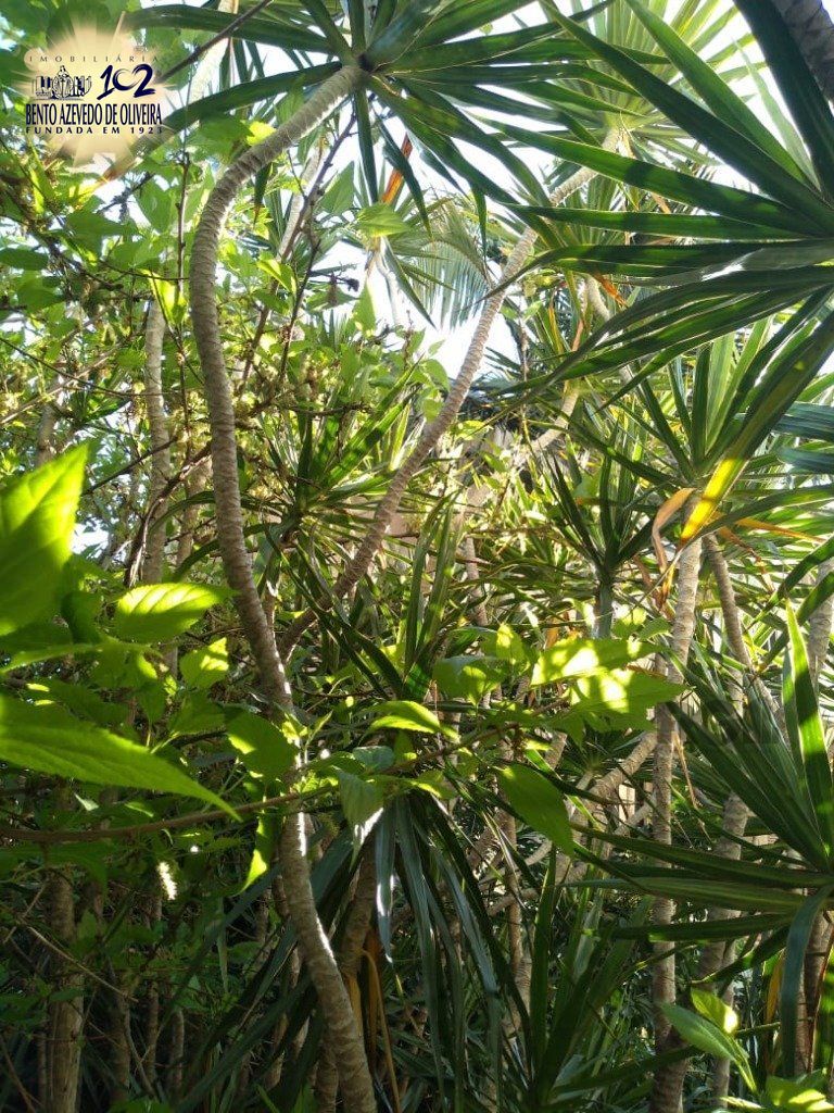 Apartamento, 3 quartos, 129 m² - Foto 19