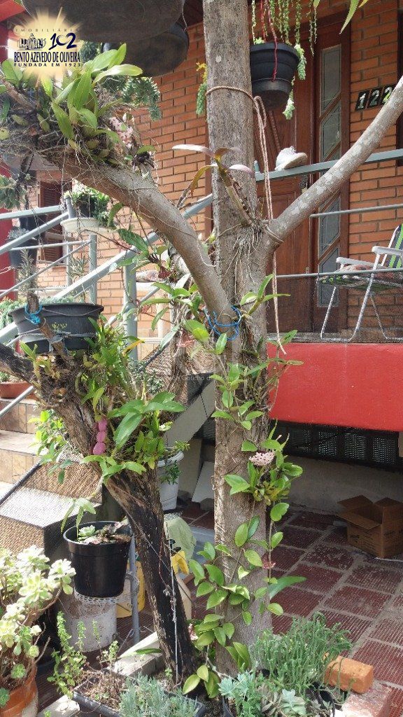 Casa, 3 quartos, 228 m² - Foto 14