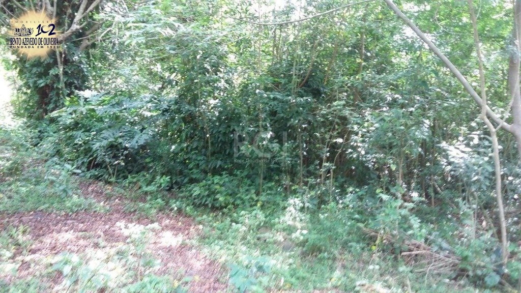 Terreno, 1 hectares - Foto 7