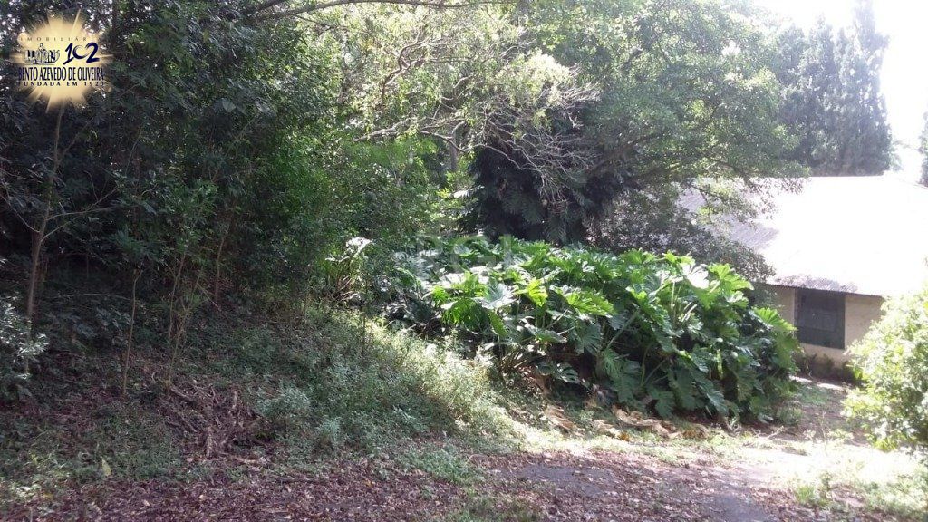 Terreno, 1 hectares - Foto 5