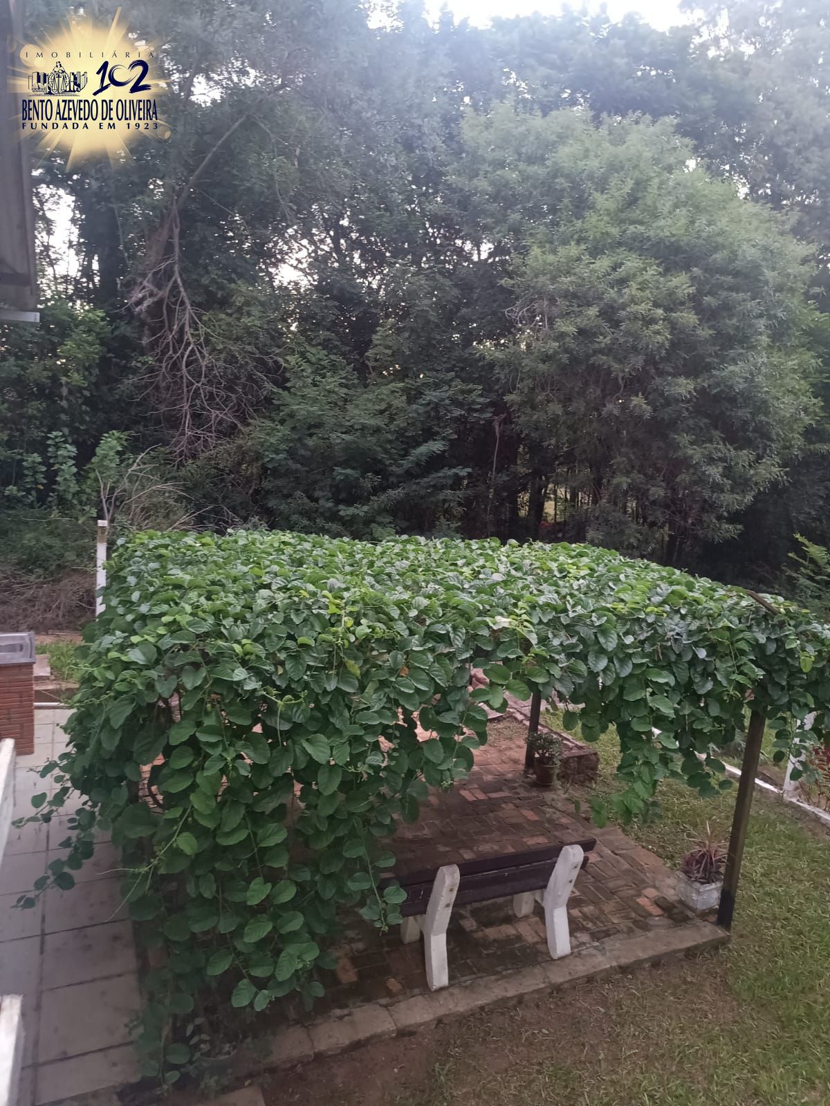 Chácara, 2 quartos, 1200 m² - Foto 34