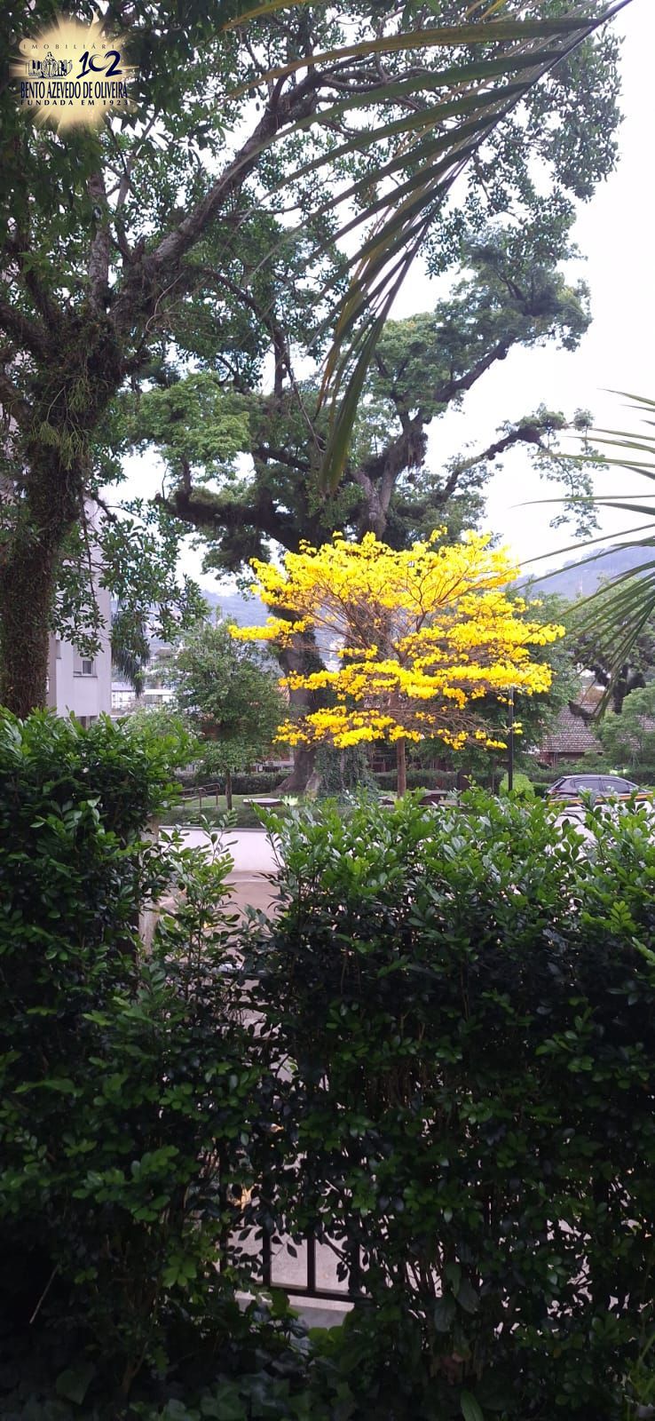 Apartamento, 2 quartos, 59 m² - Foto 24