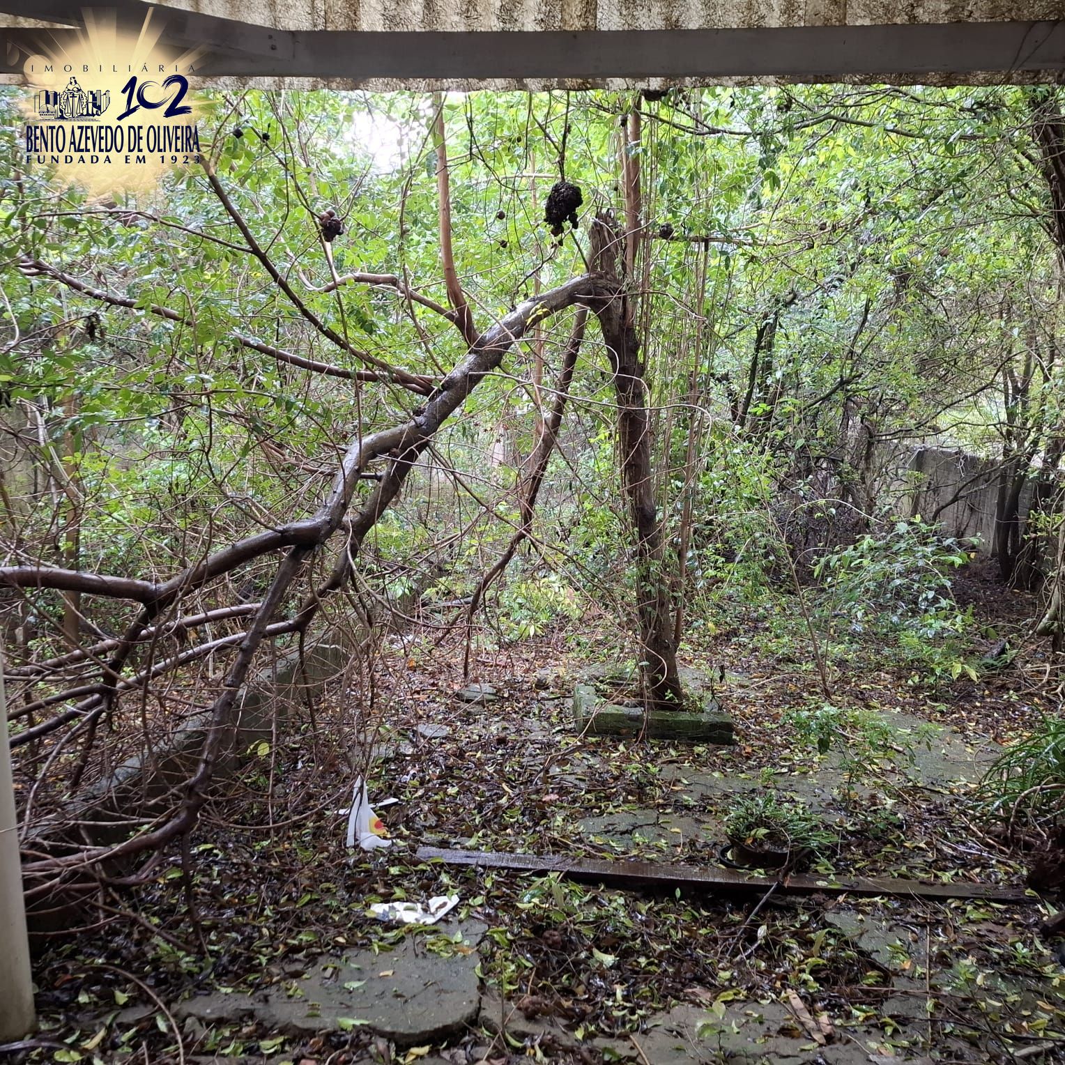 Terreno, 440 m² - Foto 10