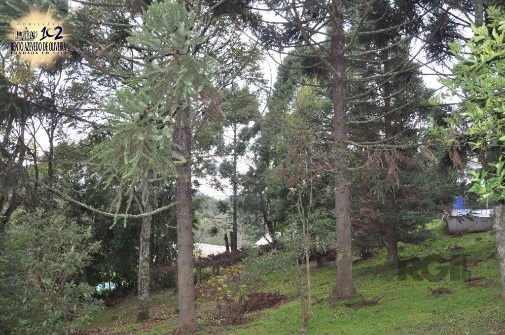 Chácara, 3 quartos, 3000 m² - Foto 8