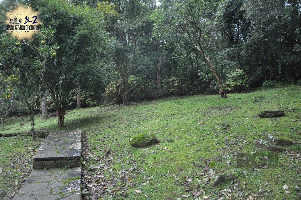 Chácara, 3 quartos, 3000 m² - Foto 9