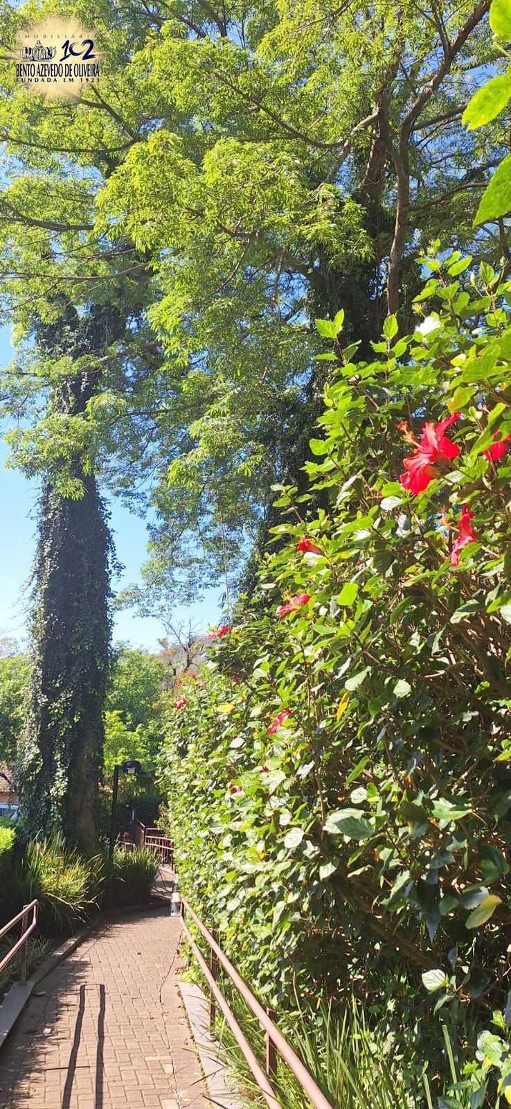 Apartamento, 2 quartos, 59 m² - Foto 22