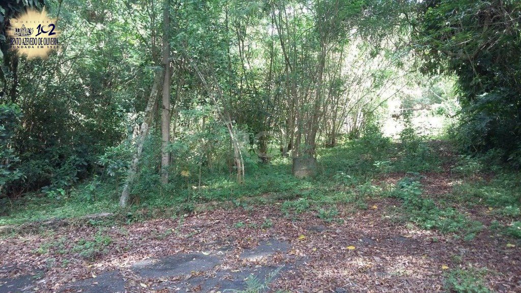 Terreno, 1 hectares - Foto 12