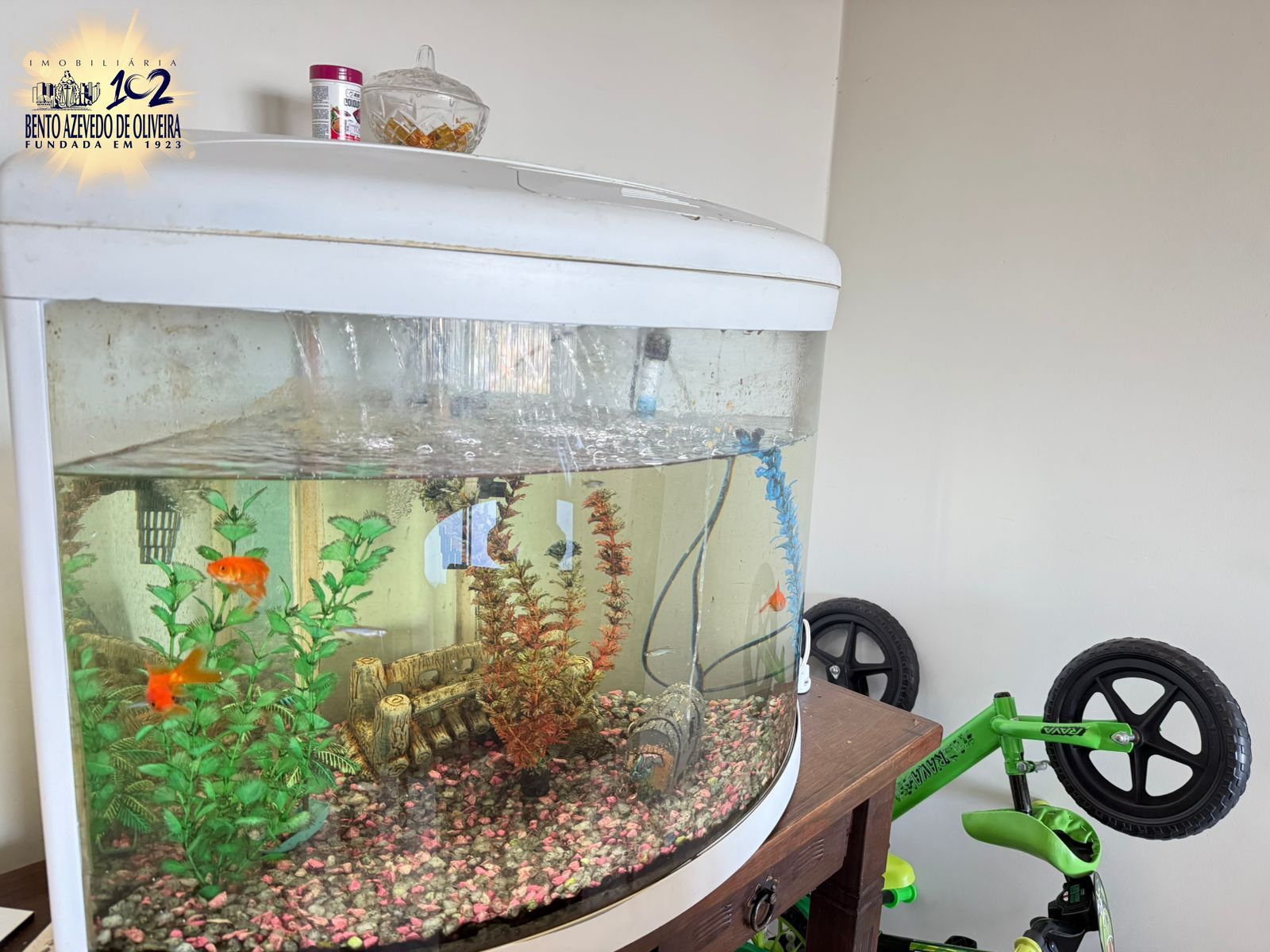 Apartamento, 3 quartos, 89 m² - Foto 14