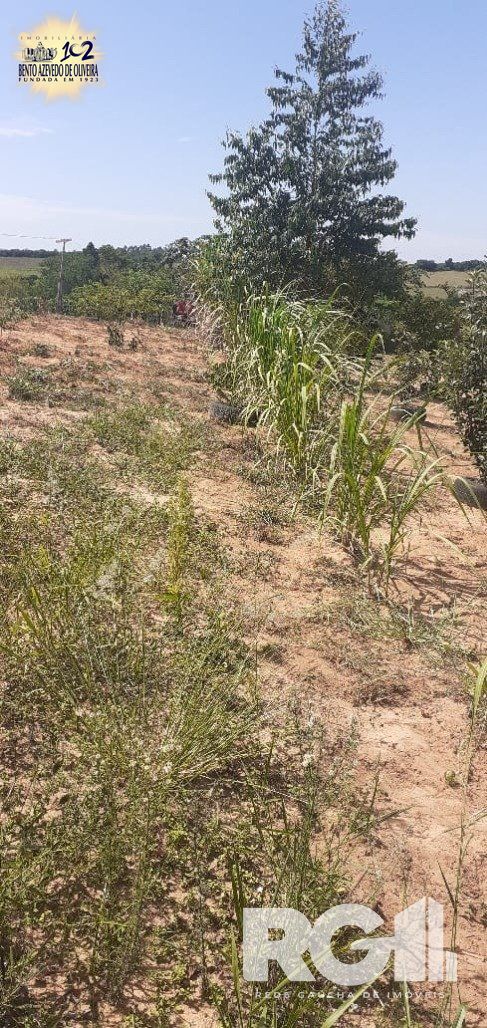 Chácara, 1 quarto, 8505 m² - Foto 35