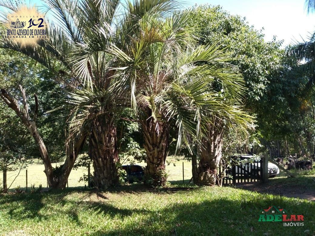 Sítio, 4 quartos, 8 hectares - Foto 36