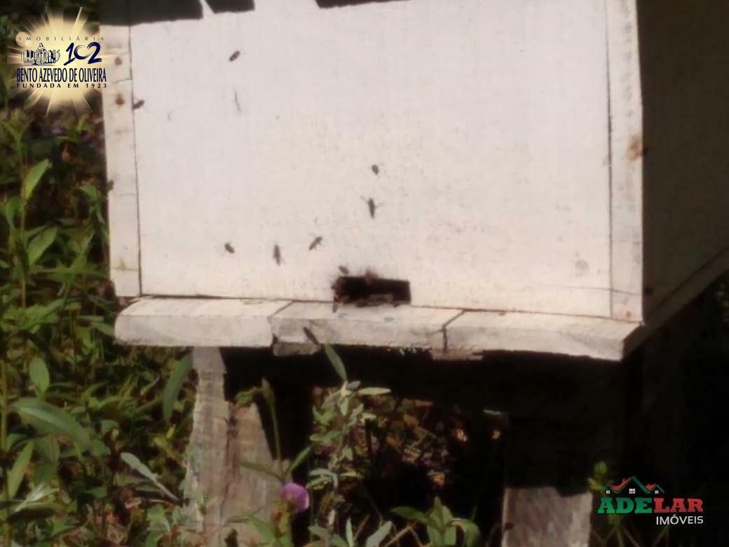 Sítio, 4 quartos, 8 hectares - Foto 18