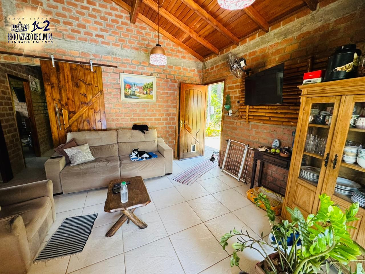 Chácara, 3 quartos, 3200 m² - Foto 6