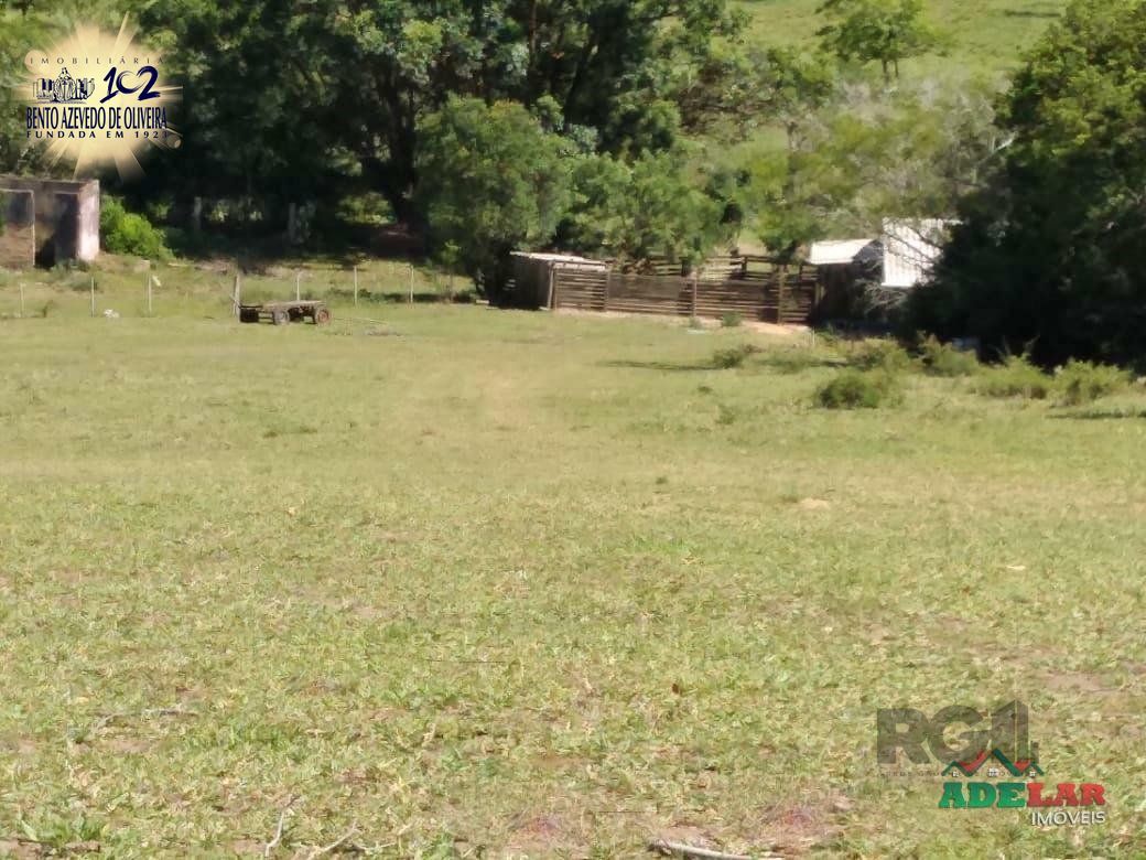 Sítio, 4 quartos, 8 hectares - Foto 44