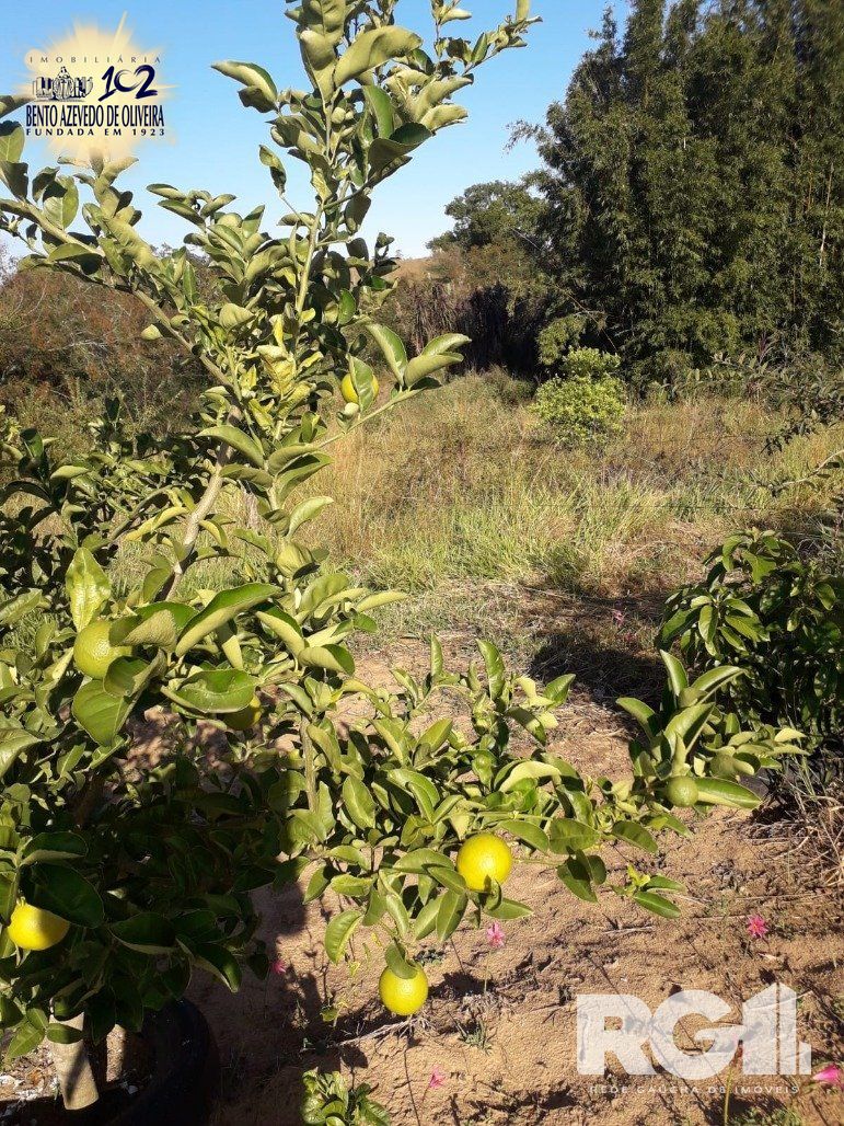 Chácara, 1 quarto, 8505 m² - Foto 16