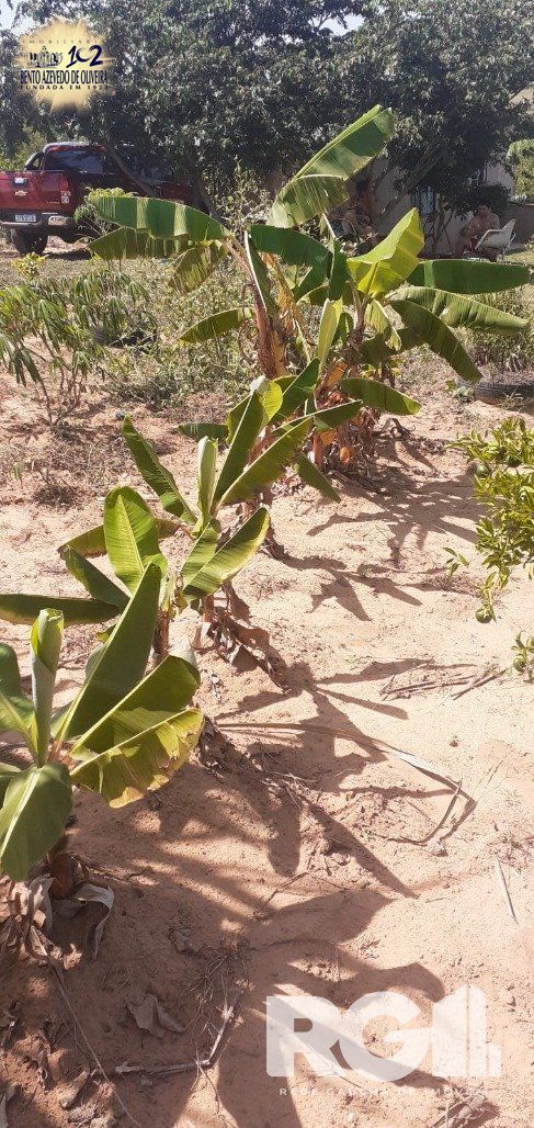 Chácara, 1 quarto, 8505 m² - Foto 6