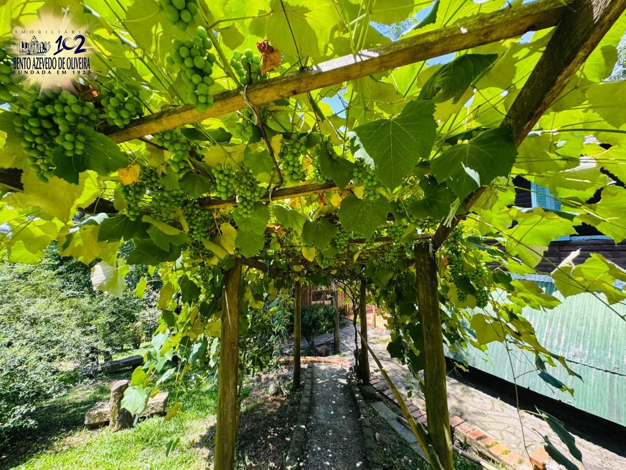 Chácara, 3 quartos, 3200 m² - Foto 24