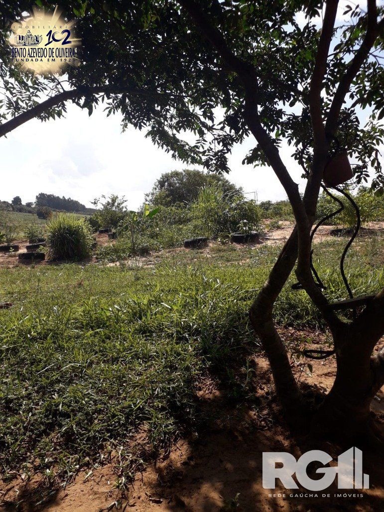 Chácara, 1 quarto, 8505 m² - Foto 14