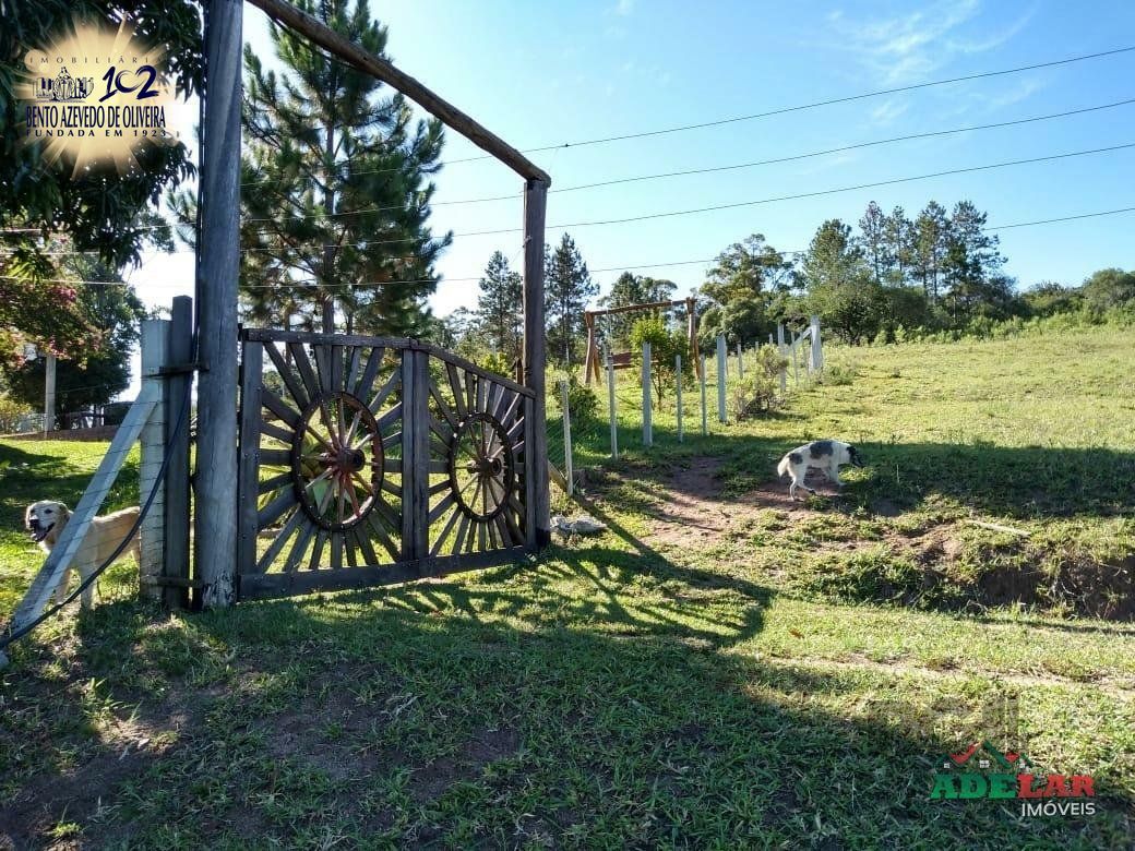 Sítio, 4 quartos, 8 hectares - Foto 6