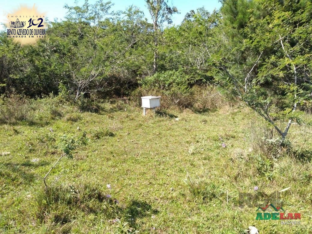 Sítio, 4 quartos, 8 hectares - Foto 21