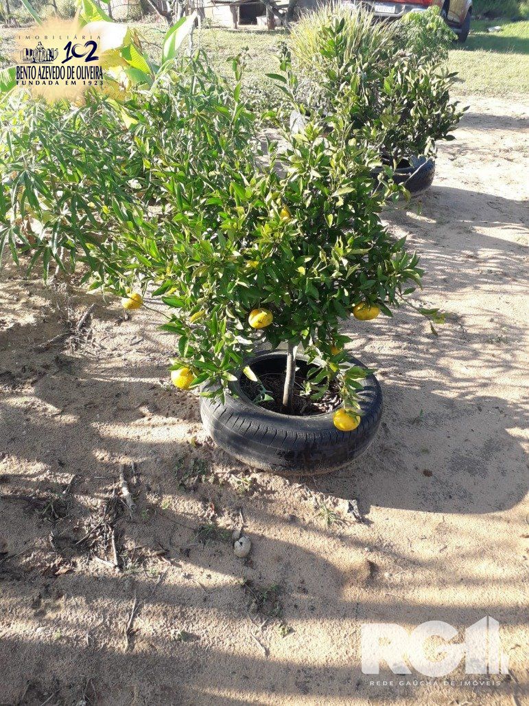 Chácara, 1 quarto, 8505 m² - Foto 20