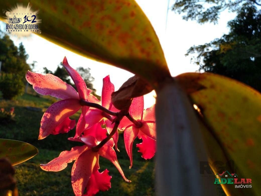 Sítio, 4 quartos, 8 hectares - Foto 30