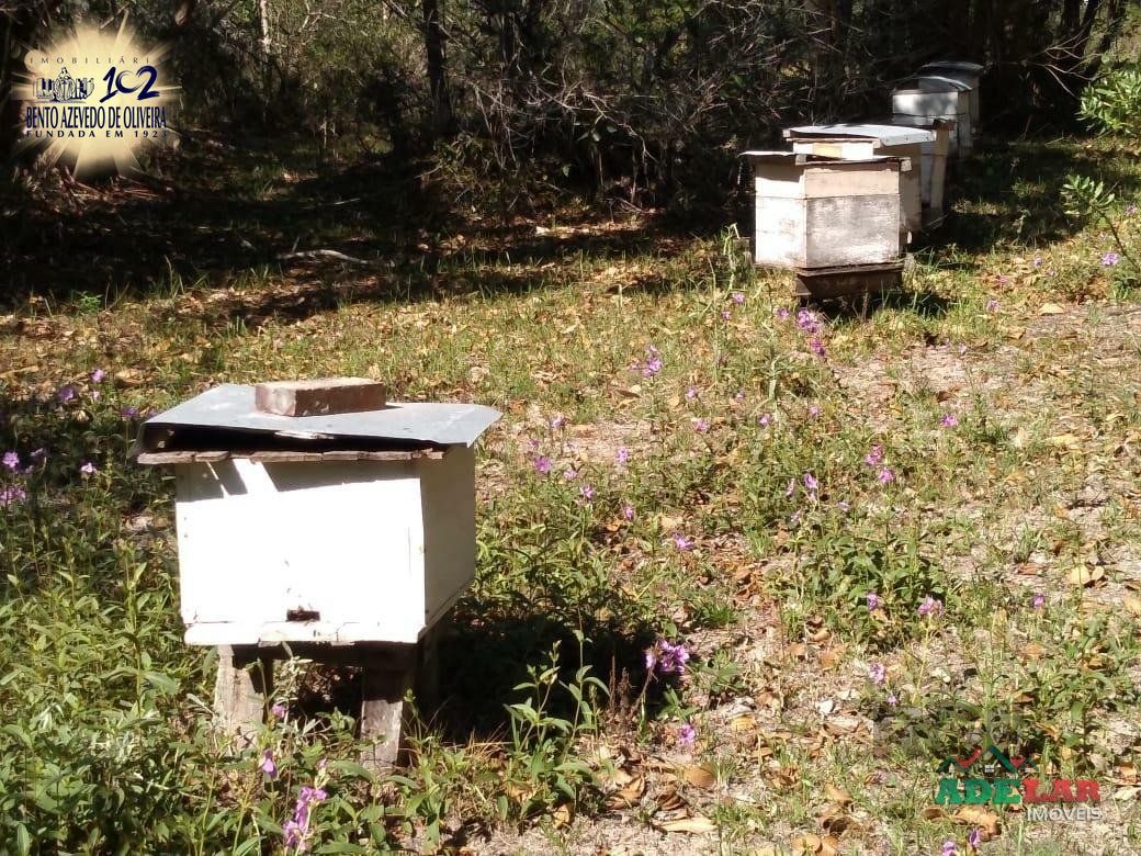 Sítio, 4 quartos, 8 hectares - Foto 16